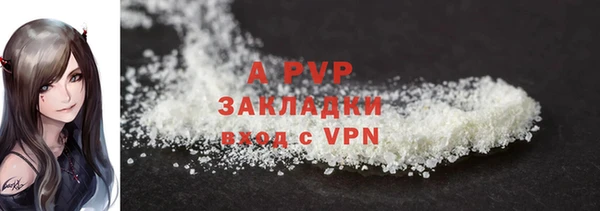 винт Богданович