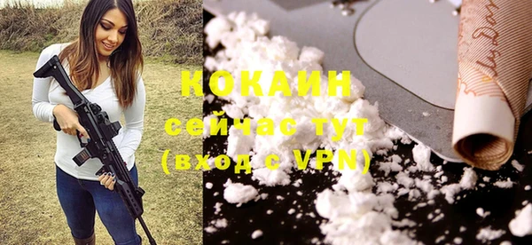 винт Богданович