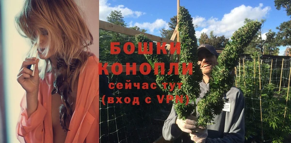 винт Богданович