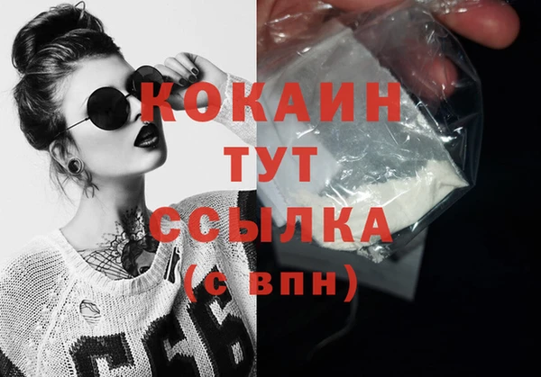 винт Богданович