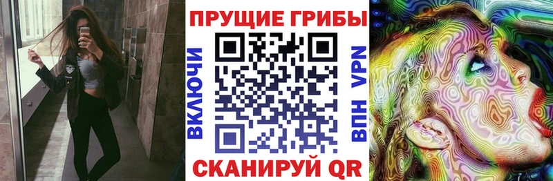 Галлюциногенные грибы Psilocybine cubensis  площадка как зайти  Туймазы  купить  цена 